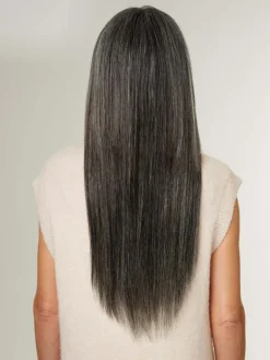 20" Classic Dark Gray Clip-Ins (220g) -Hair Extensions Shop Luxy Hair Extensions Dark Grey 20 After Back 1884954e fde6 472c ad75 3ab268f5c6fa