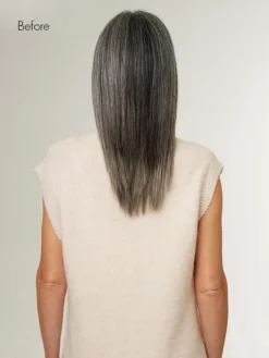 20" Classic Dark Gray Volume Bundle Clip-Ins -Hair Extensions Shop Luxy Hair Extensions Dark Grey 20 Before Back bdba8666 5f92 4c3d 8a0c e3d36861854d